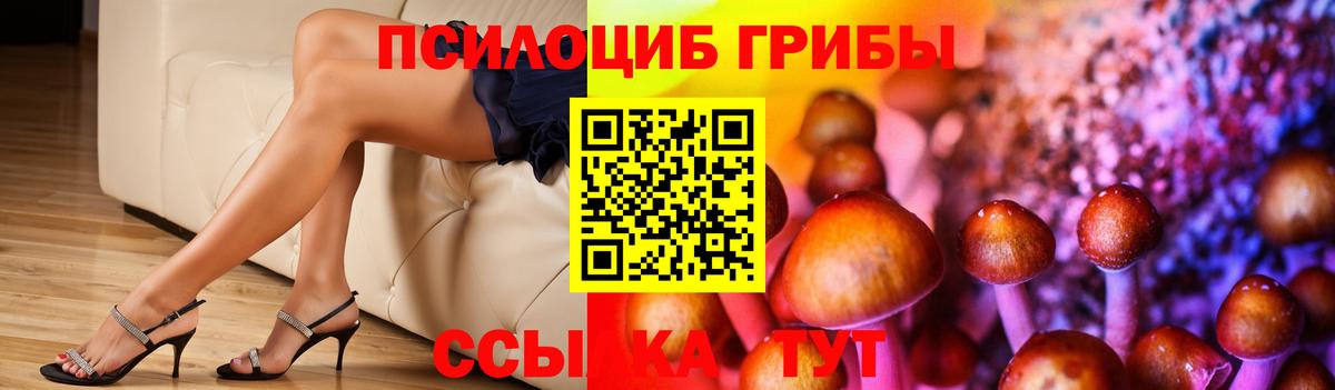 Псилоцибиновые грибы прущие грибы Кыштым